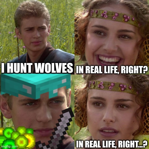 >:C | I HUNT WOLVES; IN REAL LIFE, RIGHT? IN REAL LIFE, RIGHT…? | image tagged in anakin padme 4 panel,minecraft,wolves,xp | made w/ Imgflip meme maker
