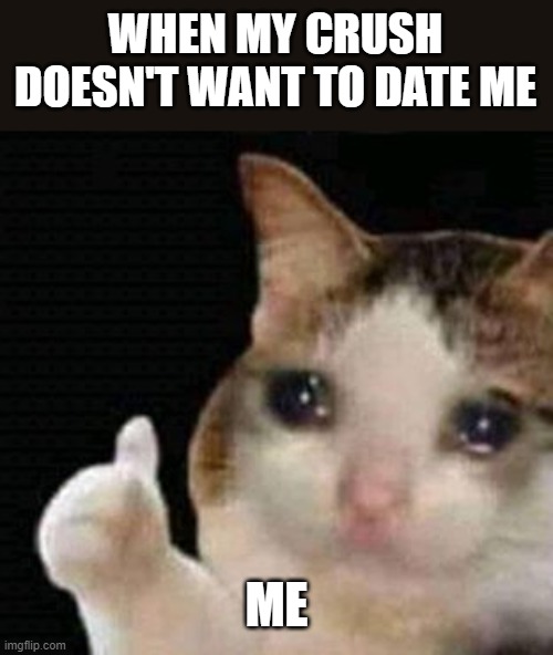 sad thumbs up cat | WHEN MY CRUSH DOESN'T WANT TO DATE ME; ME | image tagged in sad thumbs up cat | made w/ Imgflip meme maker