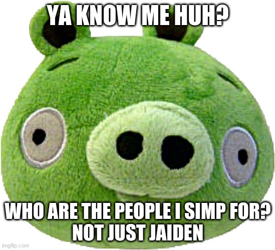 Bad Piggie plush | YA KNOW ME HUH? WHO ARE THE PEOPLE I SIMP FOR?
NOT JUST JAIDEN | image tagged in bad piggie plush | made w/ Imgflip meme maker