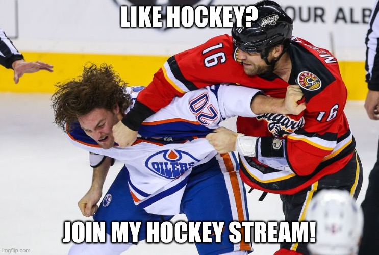 NO NSFW STUFF ON THE STREAM!!!!! Everyone is welcome | LIKE HOCKEY? JOIN MY HOCKEY STREAM! | image tagged in hockey fight | made w/ Imgflip meme maker