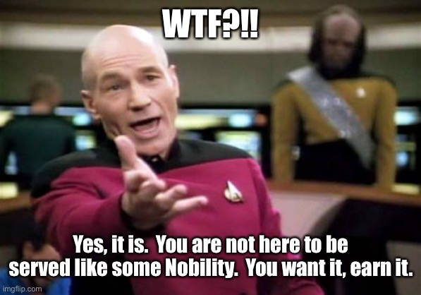 Picard Wtf Meme | WTF?!! Yes, it is.  You are not here to be served like some Nobility.  You want it, earn it. | image tagged in memes,picard wtf | made w/ Imgflip meme maker