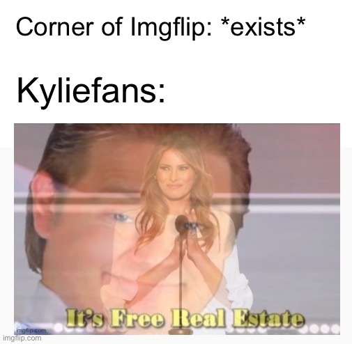 Corner of Imgflip: *exists*; Kyliefans: | image tagged in it s free real estate framed | made w/ Imgflip meme maker