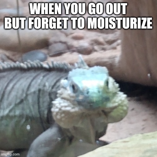 Always moisturize | WHEN YOU GO OUT BUT FORGET TO MOISTURIZE | image tagged in moist | made w/ Imgflip meme maker