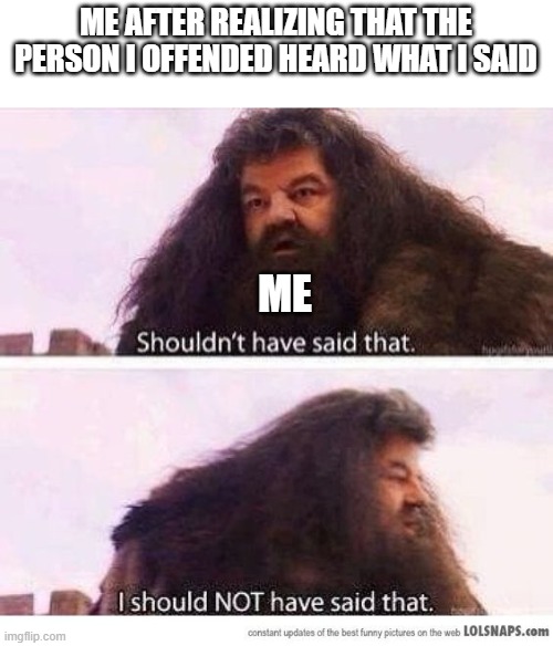 I shouldn't have said that | ME AFTER REALIZING THAT THE PERSON I OFFENDED HEARD WHAT I SAID; ME | image tagged in i shouldn't have said that | made w/ Imgflip meme maker
