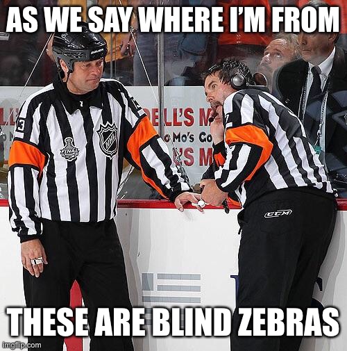 This is true |  AS WE SAY WHERE I’M FROM; THESE ARE BLIND ZEBRAS | image tagged in hockey referee | made w/ Imgflip meme maker