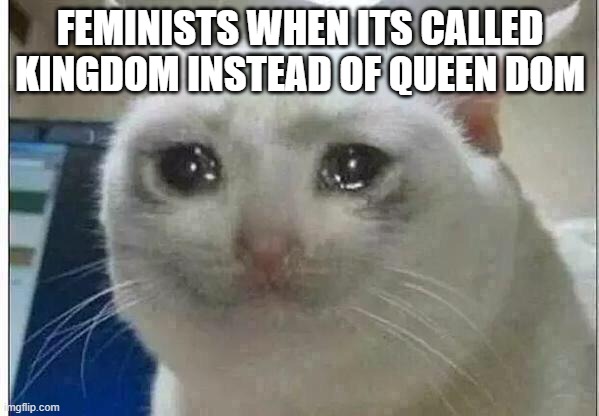 crying cat | FEMINISTS WHEN ITS CALLED KINGDOM INSTEAD OF QUEEN DOM | image tagged in crying cat | made w/ Imgflip meme maker