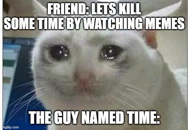 crying cat | FRIEND: LETS KILL SOME TIME BY WATCHING MEMES; THE GUY NAMED TIME: | image tagged in crying cat | made w/ Imgflip meme maker