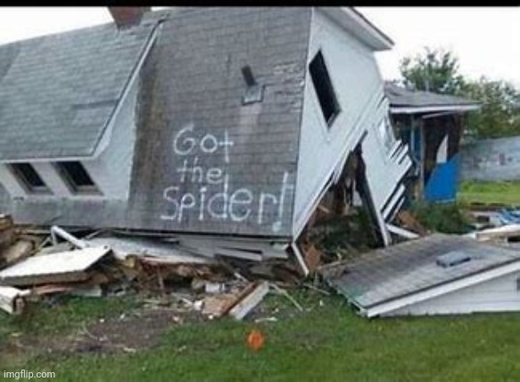 Spooder | image tagged in e | made w/ Imgflip meme maker