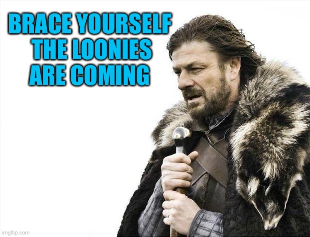 Brace Yourselves X is Coming Meme | BRACE YOURSELF 
THE LOONIES
ARE COMING | image tagged in memes,brace yourselves x is coming | made w/ Imgflip meme maker