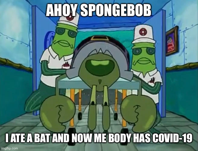 AHOY SPONGEBOB; I ATE A BAT AND NOW ME BODY HAS COVID-19 | image tagged in ahoy spongebob | made w/ Imgflip meme maker