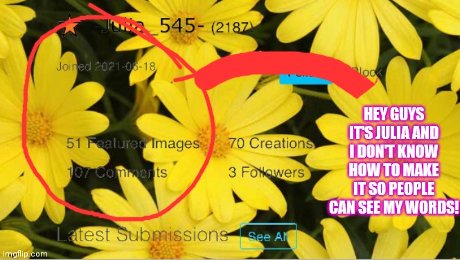 Yee | HEY GUYS IT'S JULIA AND I DON'T KNOW HOW TO MAKE IT SO PEOPLE CAN SEE MY WORDS! | image tagged in -julia_545- announcement | made w/ Imgflip meme maker