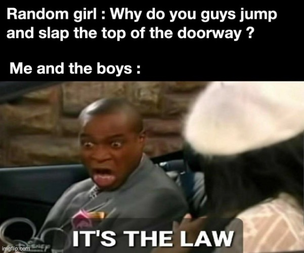 it's the law | image tagged in it's the law,lol,meme,point competition with cheemsburger | made w/ Imgflip meme maker