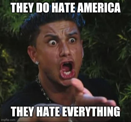 DJ Pauly D Meme | THEY DO HATE AMERICA THEY HATE EVERYTHING | image tagged in memes,dj pauly d | made w/ Imgflip meme maker