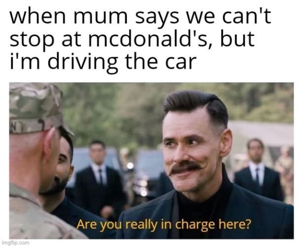 no you're not. | image tagged in why are you reading this,are you really in charge here | made w/ Imgflip meme maker