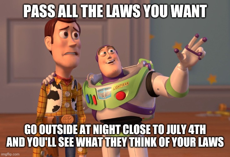 X, X Everywhere | PASS ALL THE LAWS YOU WANT; GO OUTSIDE AT NIGHT CLOSE TO JULY 4TH AND YOU'LL SEE WHAT THEY THINK OF YOUR LAWS | image tagged in memes,x x everywhere | made w/ Imgflip meme maker