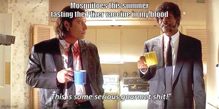 Tastes good | Mosquitoes this summer tasting the Pfizer vaccine in my blood | image tagged in this is some serious gourmet shit | made w/ Imgflip meme maker