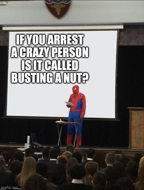 Just a comment someone made | IF YOU ARREST A CRAZY PERSON IS IT CALLED BUSTING A NUT? | image tagged in spiderman teaching,memes,shower thoughts,can't argue with that / technically not wrong | made w/ Imgflip meme maker