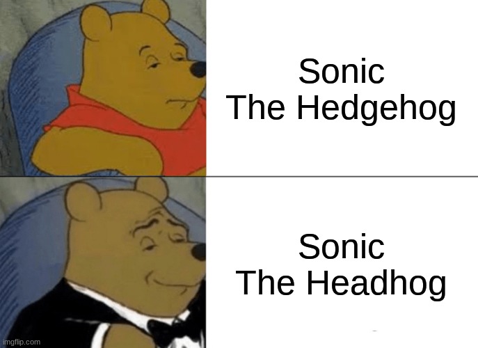 he's not a hedgehog.... | Sonic The Hedgehog; Sonic The Headhog | image tagged in memes,tuxedo winnie the pooh | made w/ Imgflip meme maker