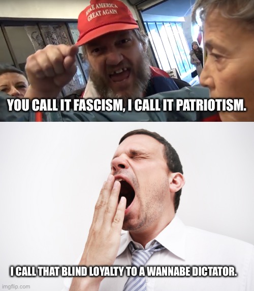 I CALL THAT BLIND LOYALTY TO A WANNABE DICTATOR. YOU CALL IT FASCISM, I CALL IT PATRIOTISM. | image tagged in angry trumper,yawn | made w/ Imgflip meme maker