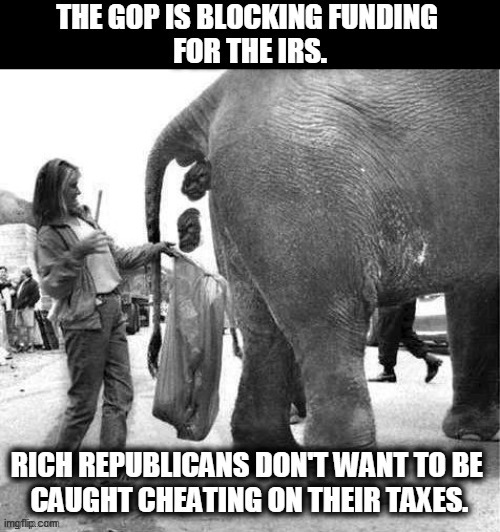 When they don't pay, you do. | . | image tagged in irs,starving,republican,fat cat | made w/ Imgflip meme maker