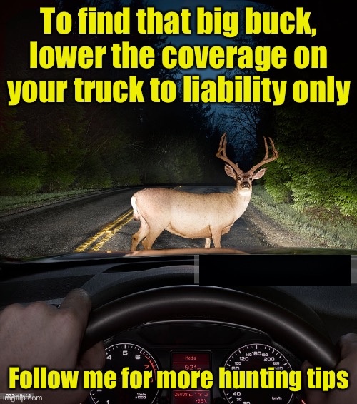 Hunting tip | To find that big buck,
lower the coverage on your truck to liability only; Follow me for more hunting tips | image tagged in deer in headlights | made w/ Imgflip meme maker