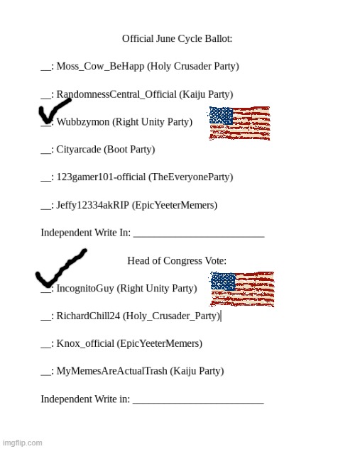 June Election Ballot | image tagged in june election ballot | made w/ Imgflip meme maker