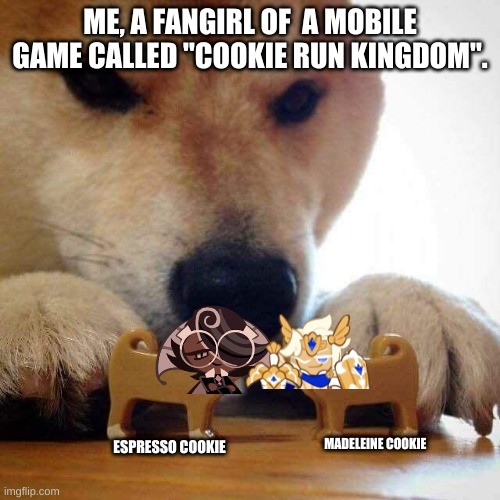Definnatly meh because i am a fangirl uwu | ME, A FANGIRL OF  A MOBILE GAME CALLED "COOKIE RUN KINGDOM". MADELEINE COOKIE; ESPRESSO COOKIE | image tagged in dog now kiss | made w/ Imgflip meme maker