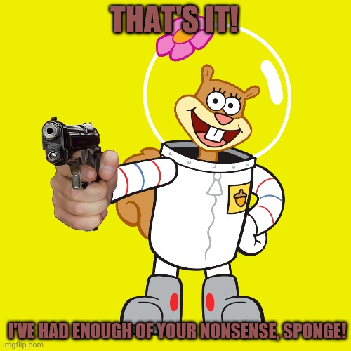 THAT'S IT! I'VE HAD ENOUGH OF YOUR NONSENSE, SPONGE! | made w/ Imgflip meme maker