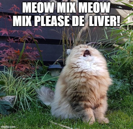 Singing cat | MEOW MIX MEOW MIX PLEASE DE  LIVER! | image tagged in singing cat | made w/ Imgflip meme maker