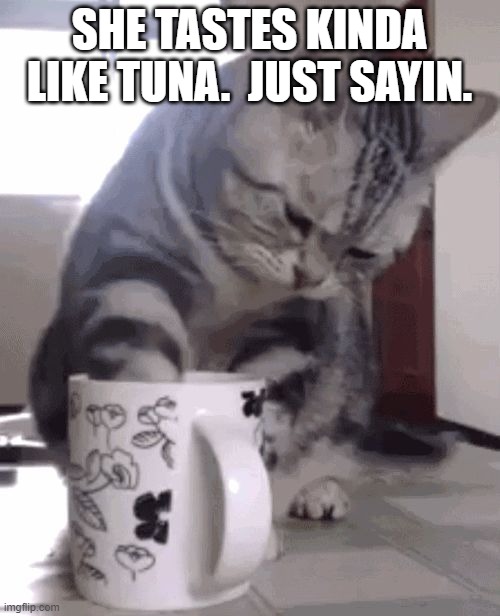 Why your coffee tastes bad | SHE TASTES KINDA LIKE TUNA.  JUST SAYIN. | image tagged in why your coffee tastes bad | made w/ Imgflip meme maker