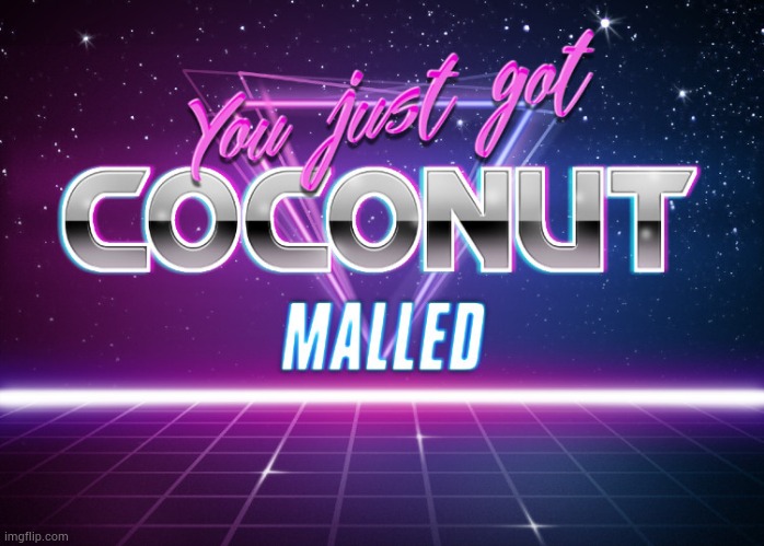 You just got coconut malled | image tagged in you just got coconut malled | made w/ Imgflip meme maker