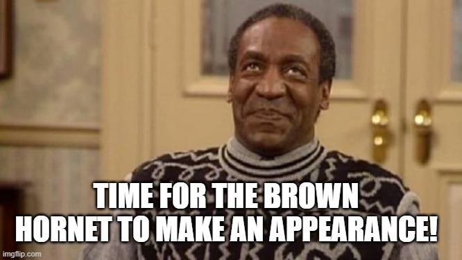 Bill Cosby | TIME FOR THE BROWN HORNET TO MAKE AN APPEARANCE! | image tagged in bill cosby | made w/ Imgflip meme maker