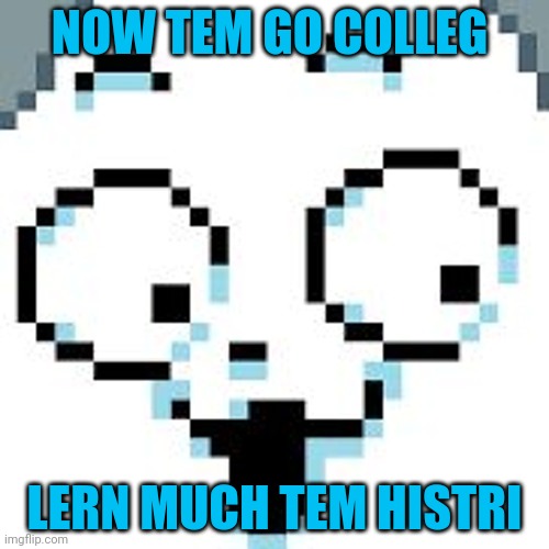 tEMMIE  | NOW TEM GO COLLEG LERN MUCH TEM HISTRI | image tagged in temmie | made w/ Imgflip meme maker