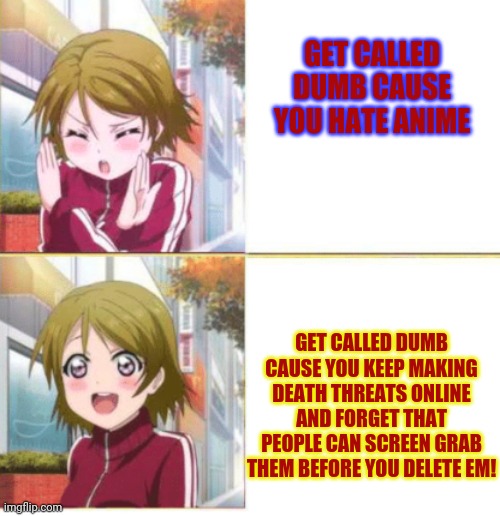 Anime drake meme | GET CALLED DUMB CAUSE YOU HATE ANIME GET CALLED DUMB CAUSE YOU KEEP MAKING DEATH THREATS ONLINE AND FORGET THAT PEOPLE CAN SCREEN GRAB THEM  | image tagged in anime drake meme | made w/ Imgflip meme maker