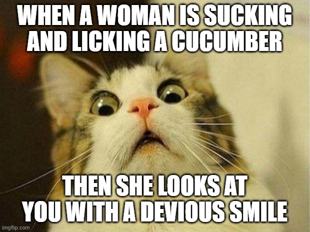Scared Cat | WHEN A WOMAN IS SUCKING AND LICKING A CUCUMBER; THEN SHE LOOKS AT YOU WITH A DEVIOUS SMILE | image tagged in memes,scared cat | made w/ Imgflip meme maker
