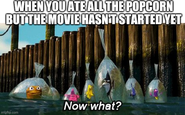 Uh~ | WHEN YOU ATE ALL THE POPCORN BUT THE MOVIE HASN'T STARTED YET | image tagged in now what | made w/ Imgflip meme maker