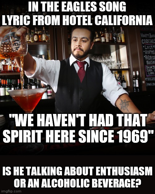 I've always wondered about that line | IN THE EAGLES SONG LYRIC FROM HOTEL CALIFORNIA; "WE HAVEN'T HAD THAT SPIRIT HERE SINCE 1969"; IS HE TALKING ABOUT ENTHUSIASM OR AN ALCOHOLIC BEVERAGE? | image tagged in bartender | made w/ Imgflip meme maker