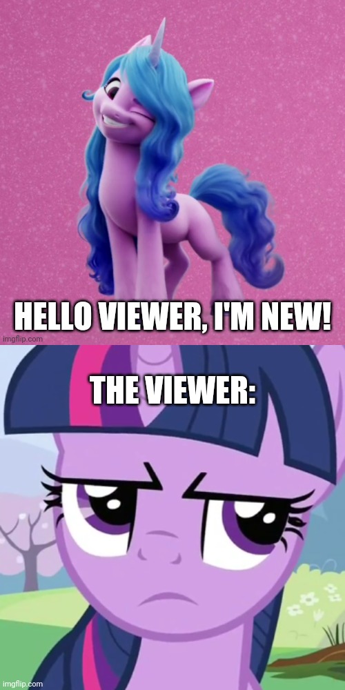 THE VIEWER: | made w/ Imgflip meme maker