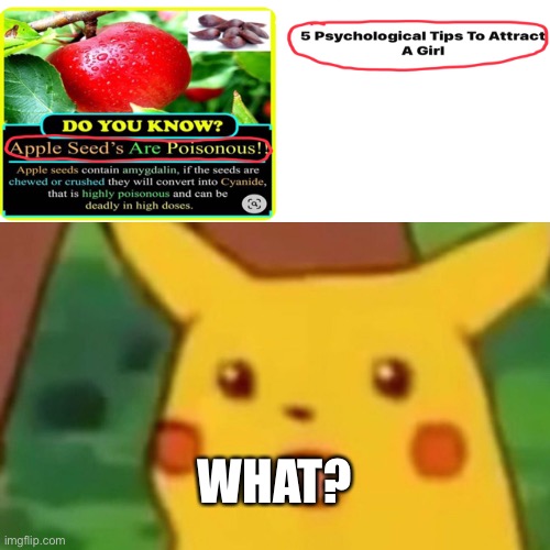 Poison her, JUST DO IT | WHAT? | image tagged in memes,surprised pikachu | made w/ Imgflip meme maker