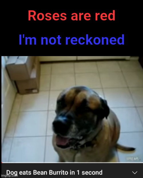 In 1 second? Impressive. | Roses are red; I'm not reckoned | image tagged in burrito,roses are red,funny,memes,rhymes,dogs | made w/ Imgflip meme maker