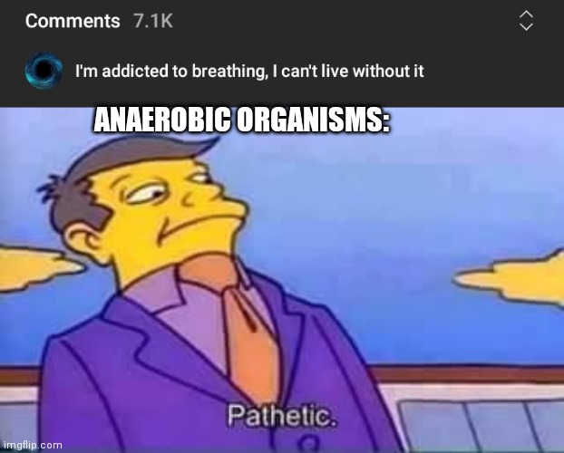 Pathetic indeed |  ANAEROBIC ORGANISMS: | image tagged in skinner pathetic | made w/ Imgflip meme maker