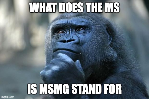 I thought it was middle school | WHAT DOES THE MS; IS MSMG STAND FOR | image tagged in deep thoughts | made w/ Imgflip meme maker