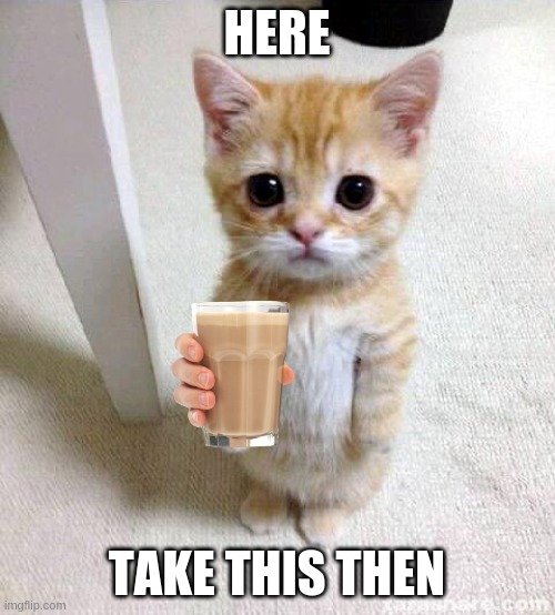 HERE TAKE THIS THEN | image tagged in memes,cute cat | made w/ Imgflip meme maker