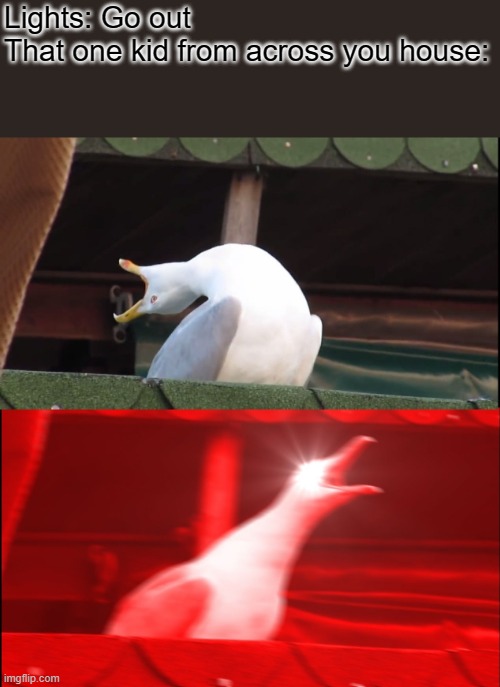 a | Lights: Go out
That one kid from across you house: | image tagged in screaming bird | made w/ Imgflip meme maker