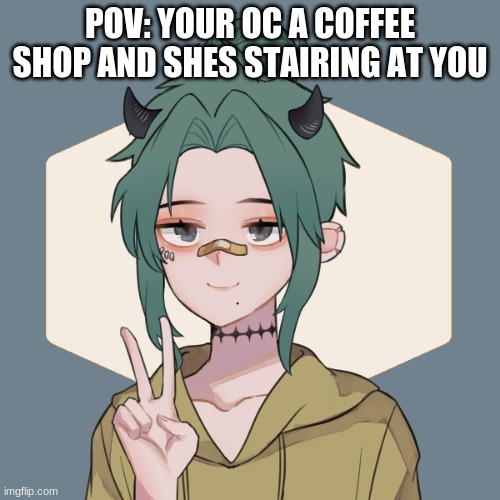 jiro oc cat | POV: YOUR OC A COFFEE SHOP AND SHES STAIRING AT YOU | image tagged in jiro oc cat | made w/ Imgflip meme maker
