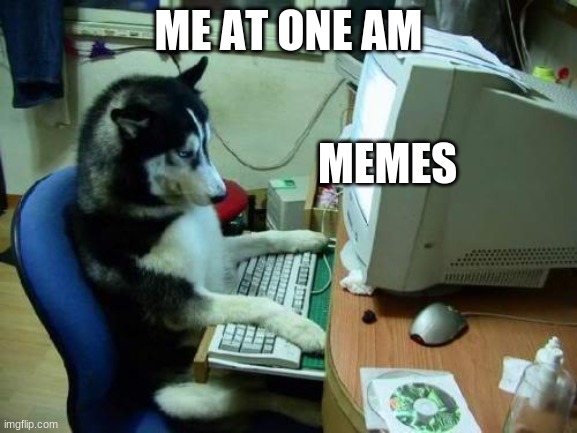 dog on computer | ME AT ONE AM; MEMES | image tagged in dog on computer | made w/ Imgflip meme maker