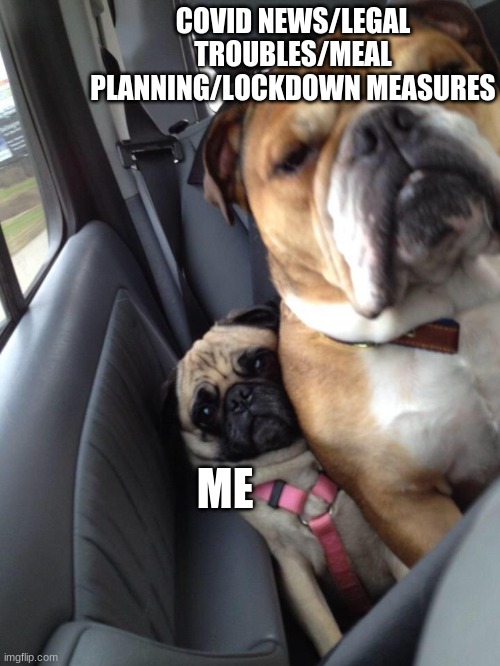 Fatigue Pug | COVID NEWS/LEGAL TROUBLES/MEAL PLANNING/LOCKDOWN MEASURES; ME | image tagged in coronavirus meme,covid-19,lockdown | made w/ Imgflip meme maker