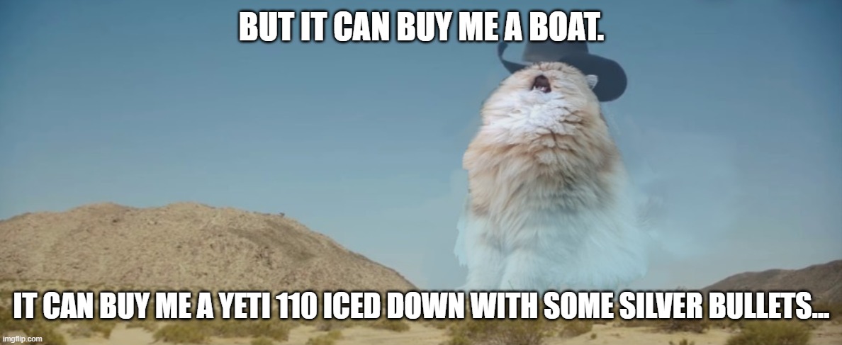 singing cat | BUT IT CAN BUY ME A BOAT. IT CAN BUY ME A YETI 110 ICED DOWN WITH SOME SILVER BULLETS... | image tagged in singing cat | made w/ Imgflip meme maker