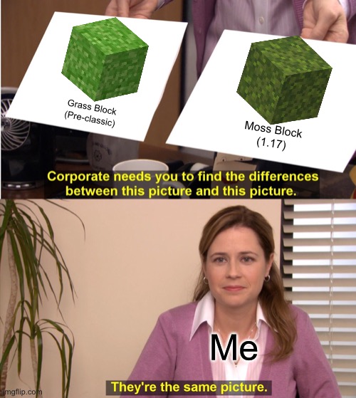 I am going insane | Grass Block
(Pre-classic); Moss Block
(1.17); Me | image tagged in memes,they're the same picture,minecraft | made w/ Imgflip meme maker