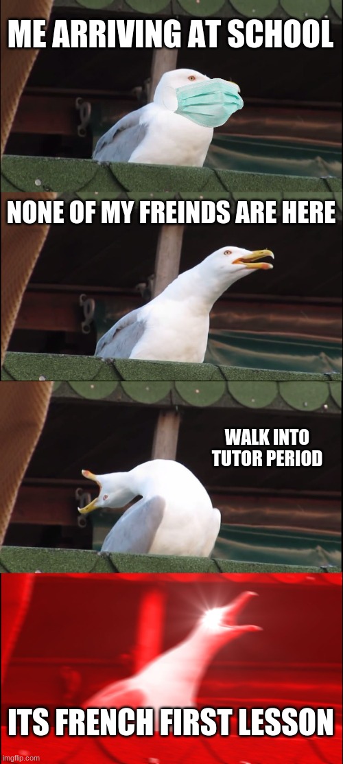 Inhaling Seagull Meme |  ME ARRIVING AT SCHOOL; NONE OF MY FREINDS ARE HERE; WALK INTO TUTOR PERIOD; ITS FRENCH FIRST LESSON | image tagged in memes,inhaling seagull | made w/ Imgflip meme maker